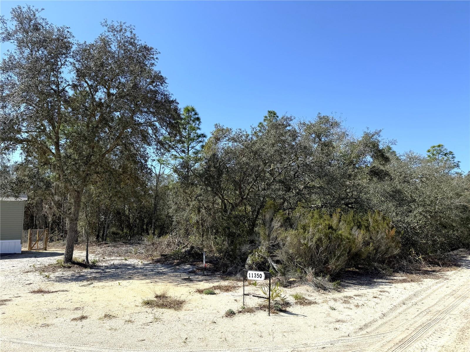 00 NE 67TH PL, WILLISTON, FL, 32696