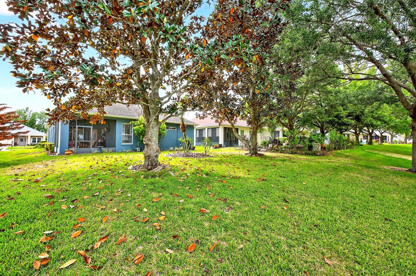 3447 MOUNT HOPE LOOP, LEESBURG, FL, 34748