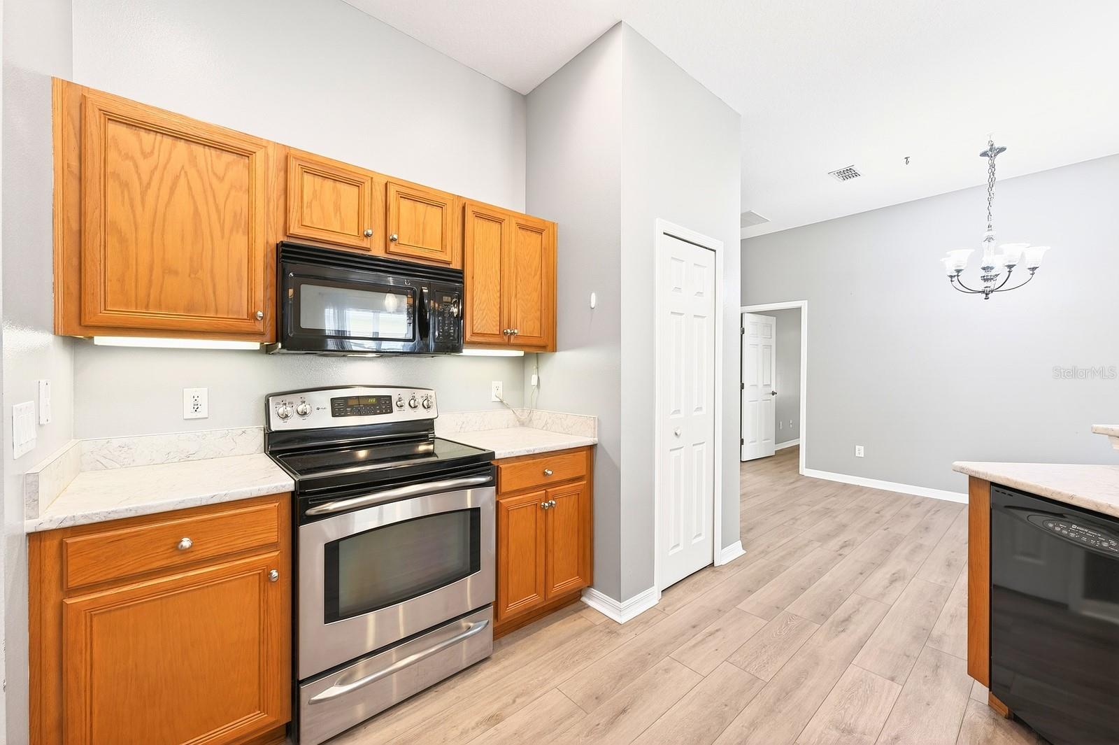3447 MOUNT HOPE LOOP, LEESBURG, FL, 34748