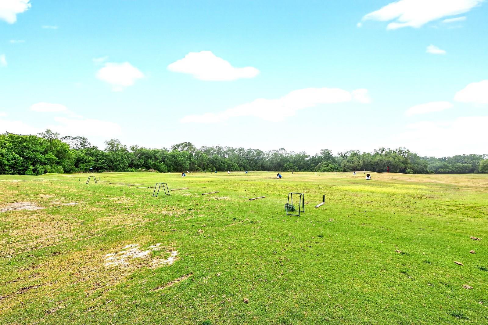 3447 MOUNT HOPE LOOP, LEESBURG, FL, 34748