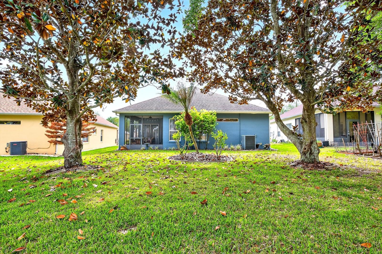 3447 MOUNT HOPE LOOP, LEESBURG, FL, 34748