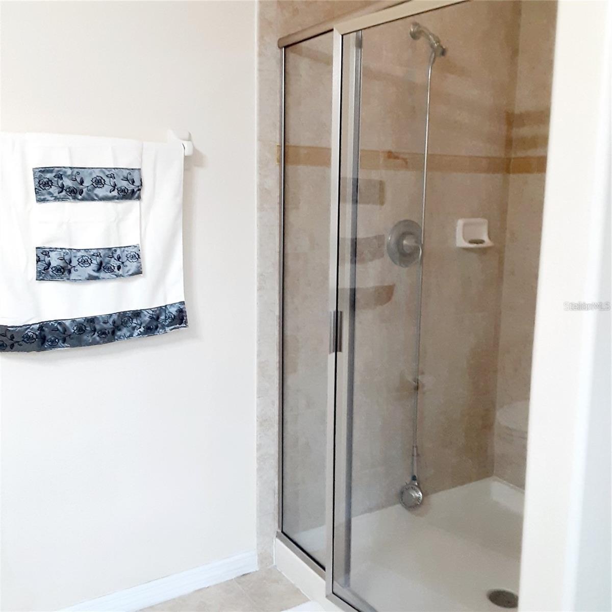 9134 SAVANNAH GROVE LN, ORLANDO, FL, 32832