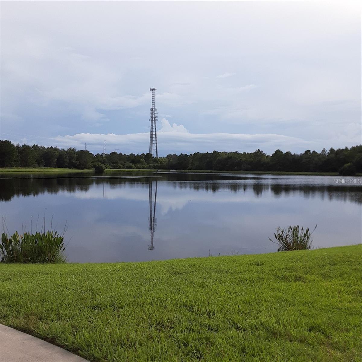 9134 SAVANNAH GROVE LN, ORLANDO, FL, 32832