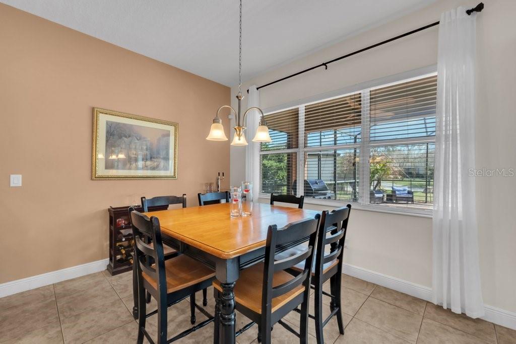 5920 FISHHAWK CROSSING BLVD, LITHIA, FL, 33547