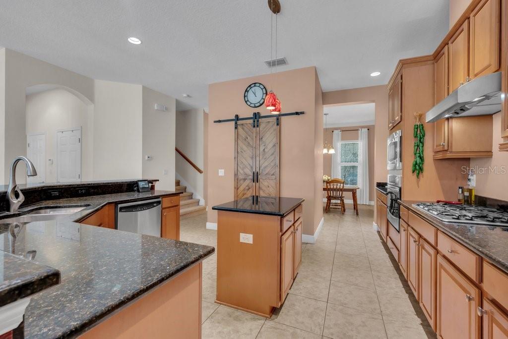 5920 FISHHAWK CROSSING BLVD, LITHIA, FL, 33547