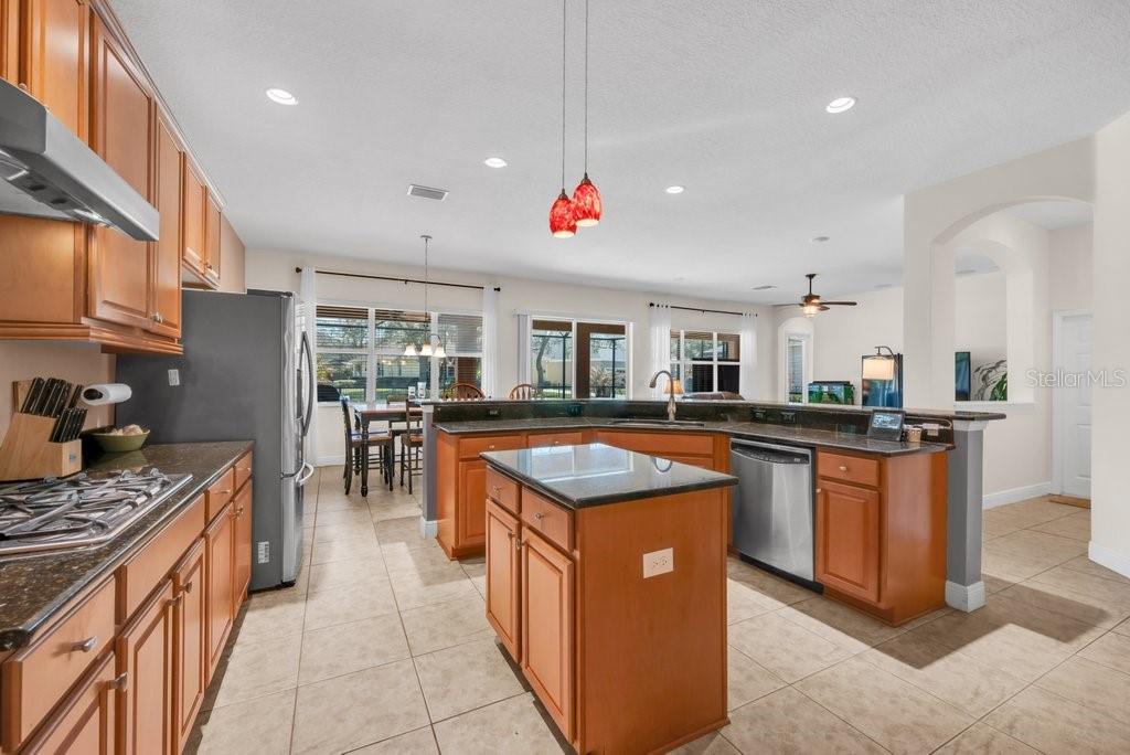 5920 FISHHAWK CROSSING BLVD, LITHIA, FL, 33547