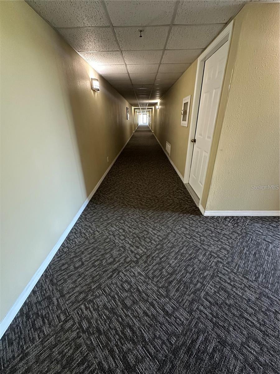 3211 W SWANN AVE #506, TAMPA, FL, 33609