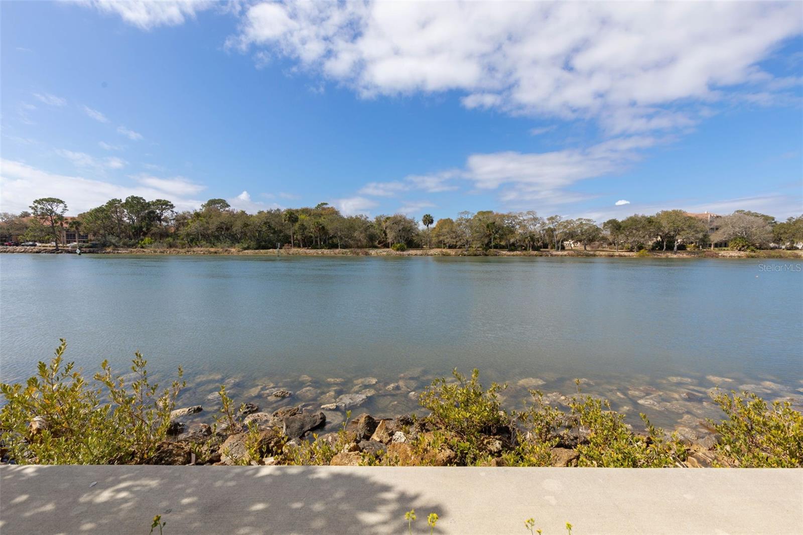 262 YACHT HARBOR DR, PALM COAST, FL, 32137