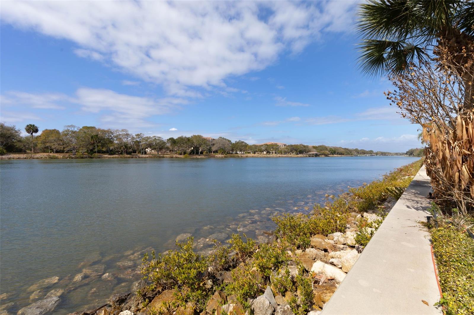 262 YACHT HARBOR DR, PALM COAST, FL, 32137