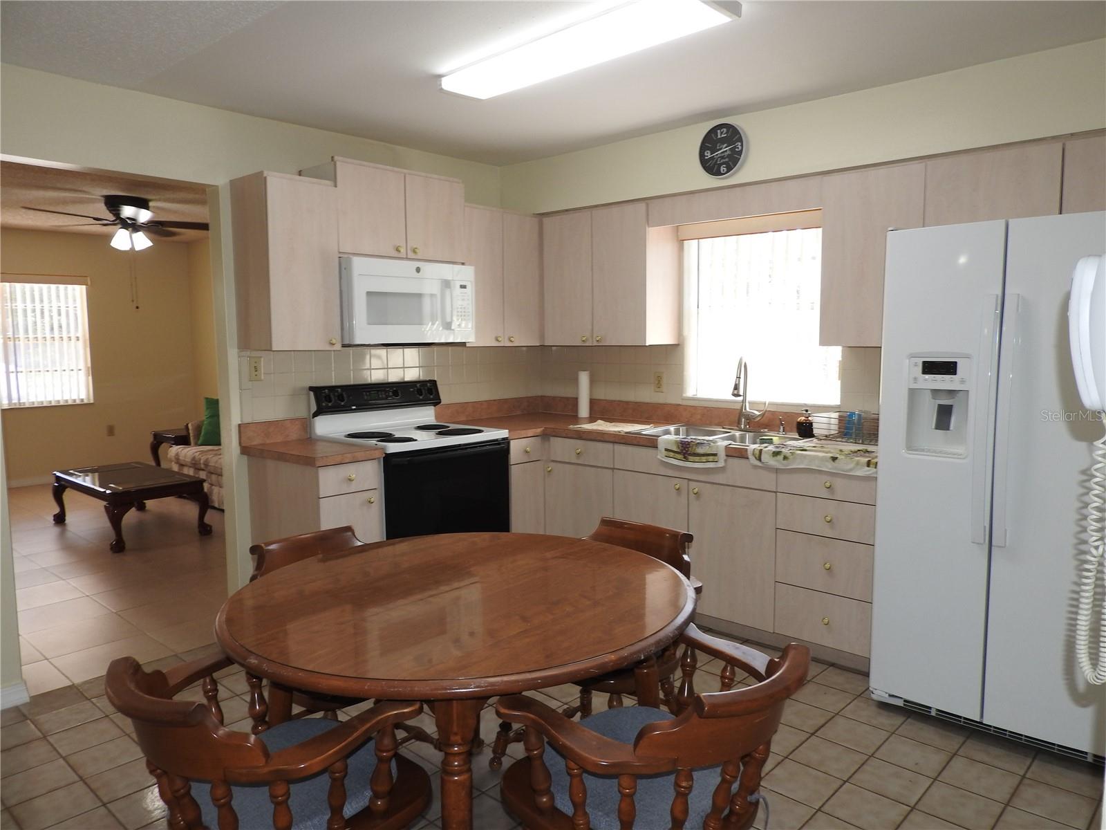 6919 LARMON ST, TAMPA, FL, 33634