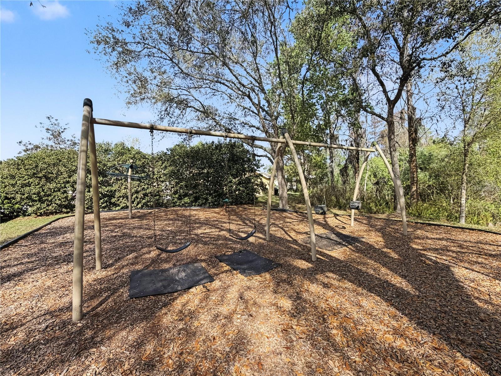 1031 MARAVISTA DR, TRINITY, FL, 34655