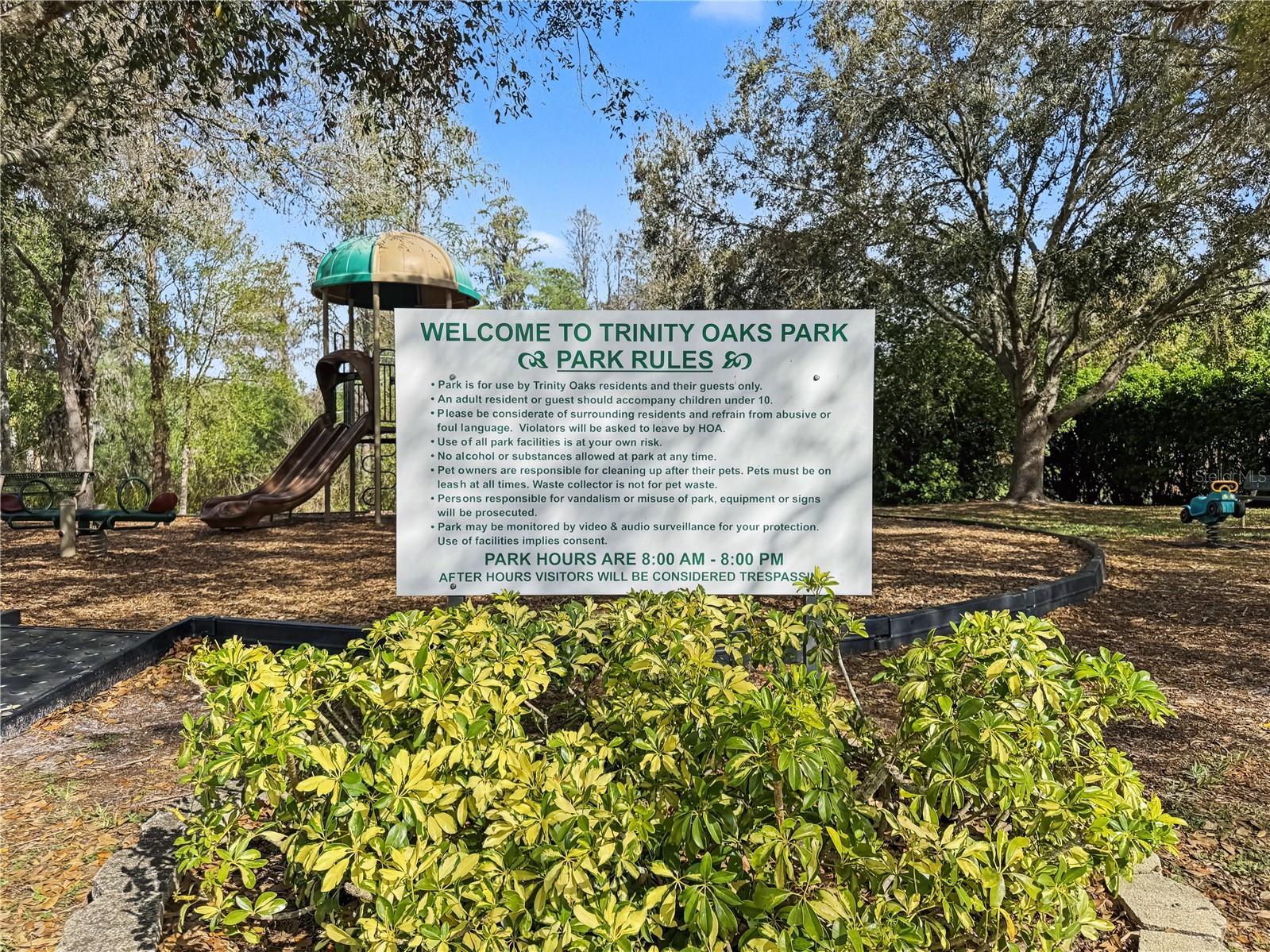 1031 MARAVISTA DR, TRINITY, FL, 34655