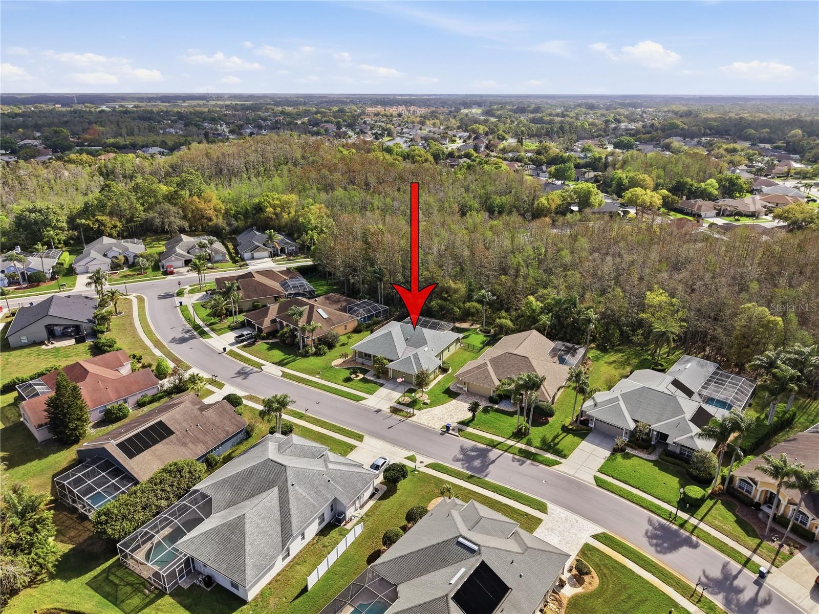 1031 MARAVISTA DR, TRINITY, FL, 34655