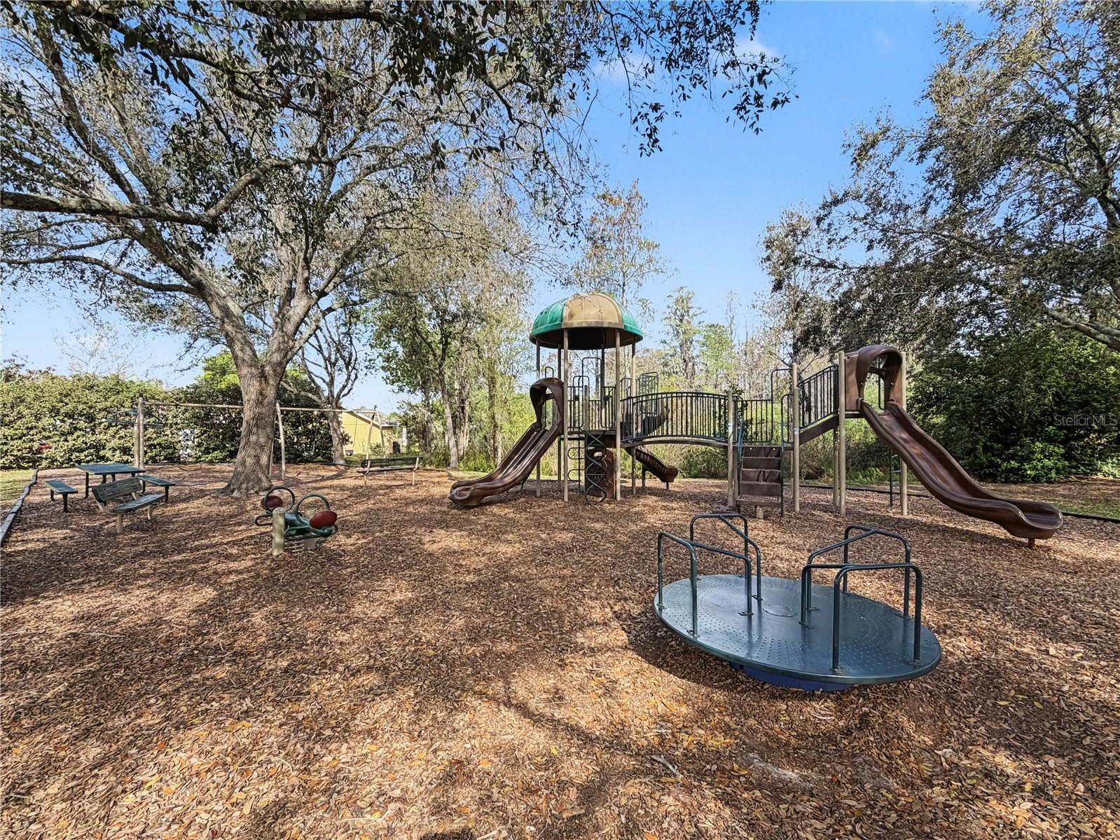 1031 MARAVISTA DR, TRINITY, FL, 34655