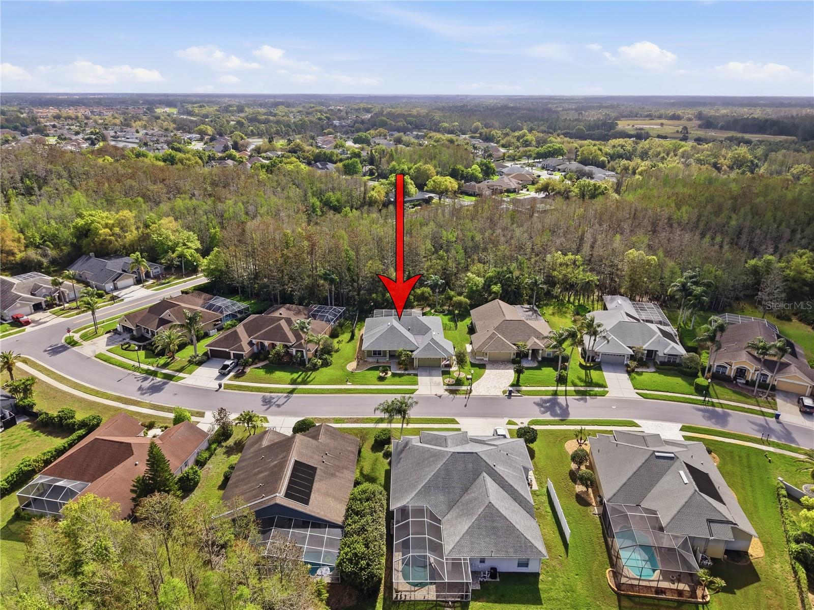 1031 MARAVISTA DR, TRINITY, FL, 34655