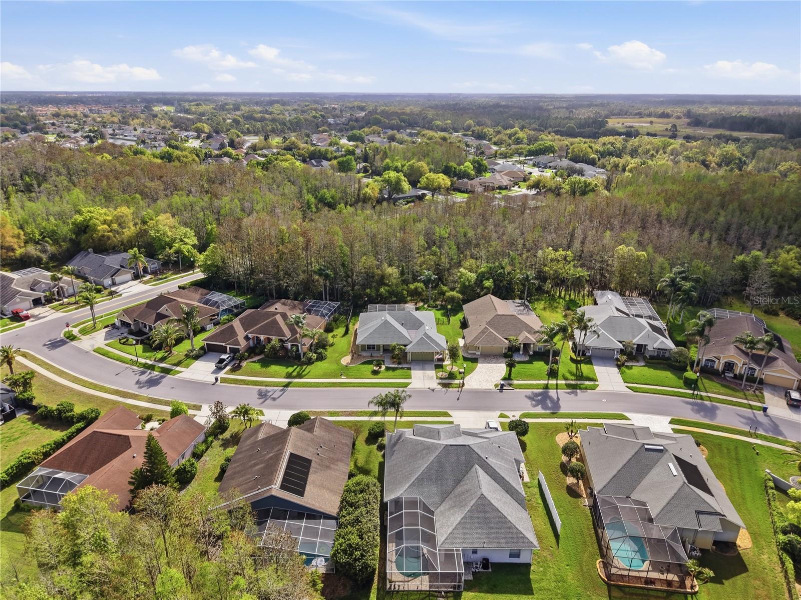 1031 MARAVISTA DR, TRINITY, FL, 34655