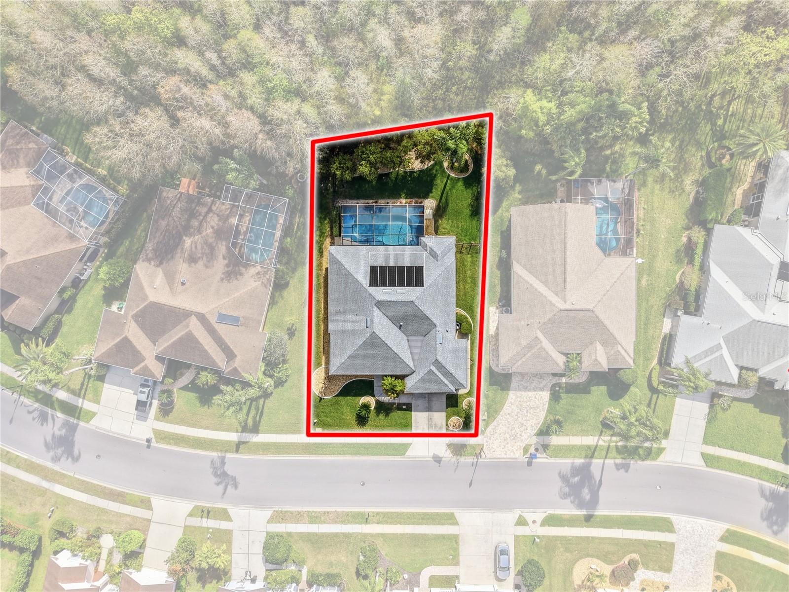 1031 MARAVISTA DR, TRINITY, FL, 34655