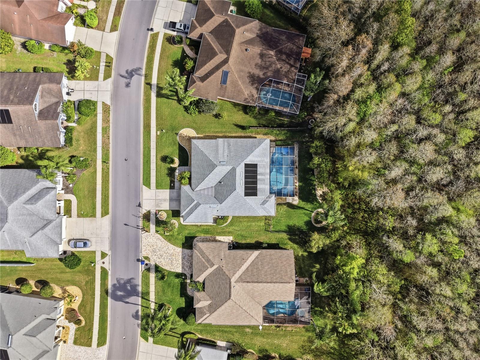 1031 MARAVISTA DR, TRINITY, FL, 34655