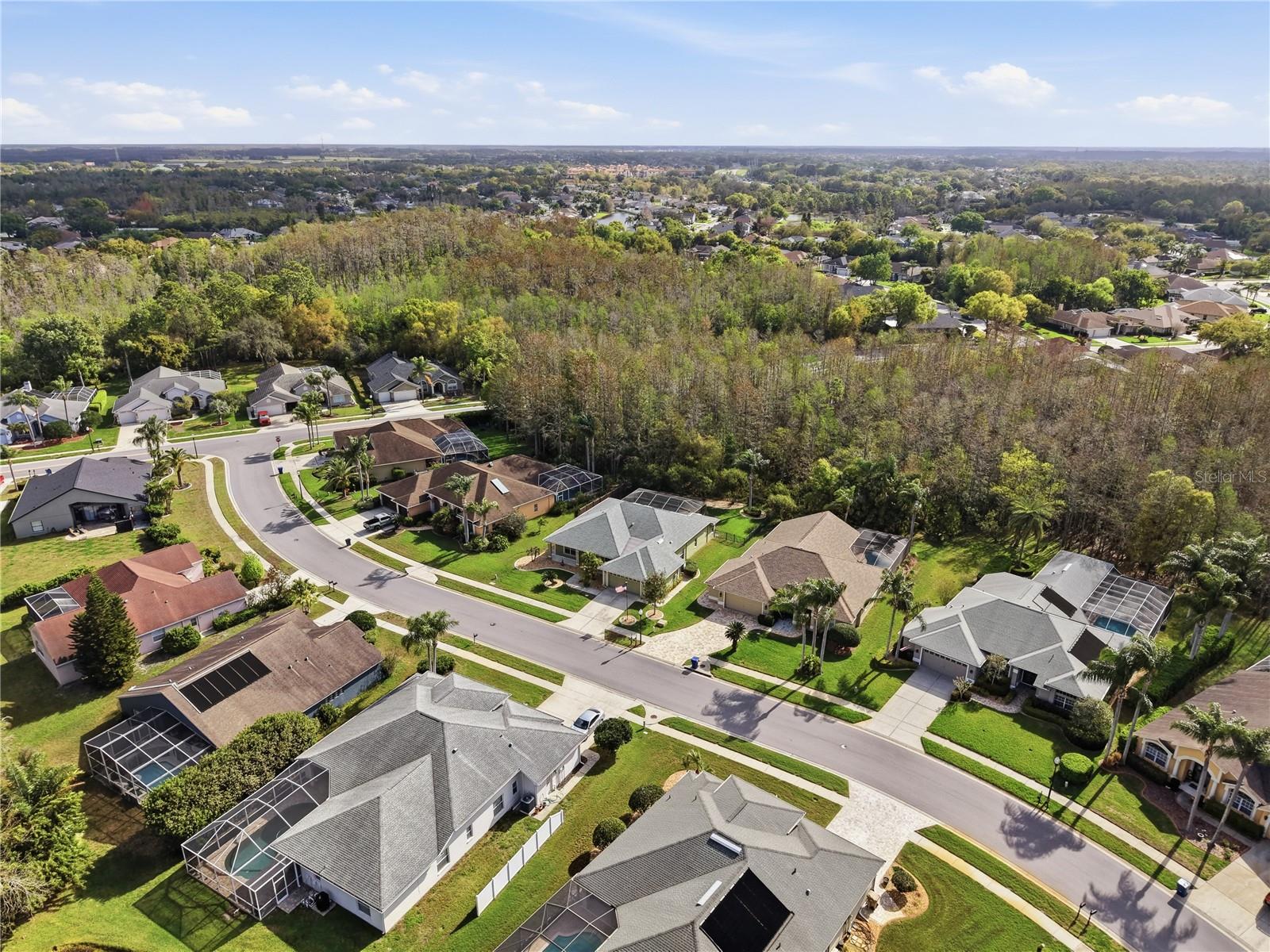 1031 MARAVISTA DR, TRINITY, FL, 34655