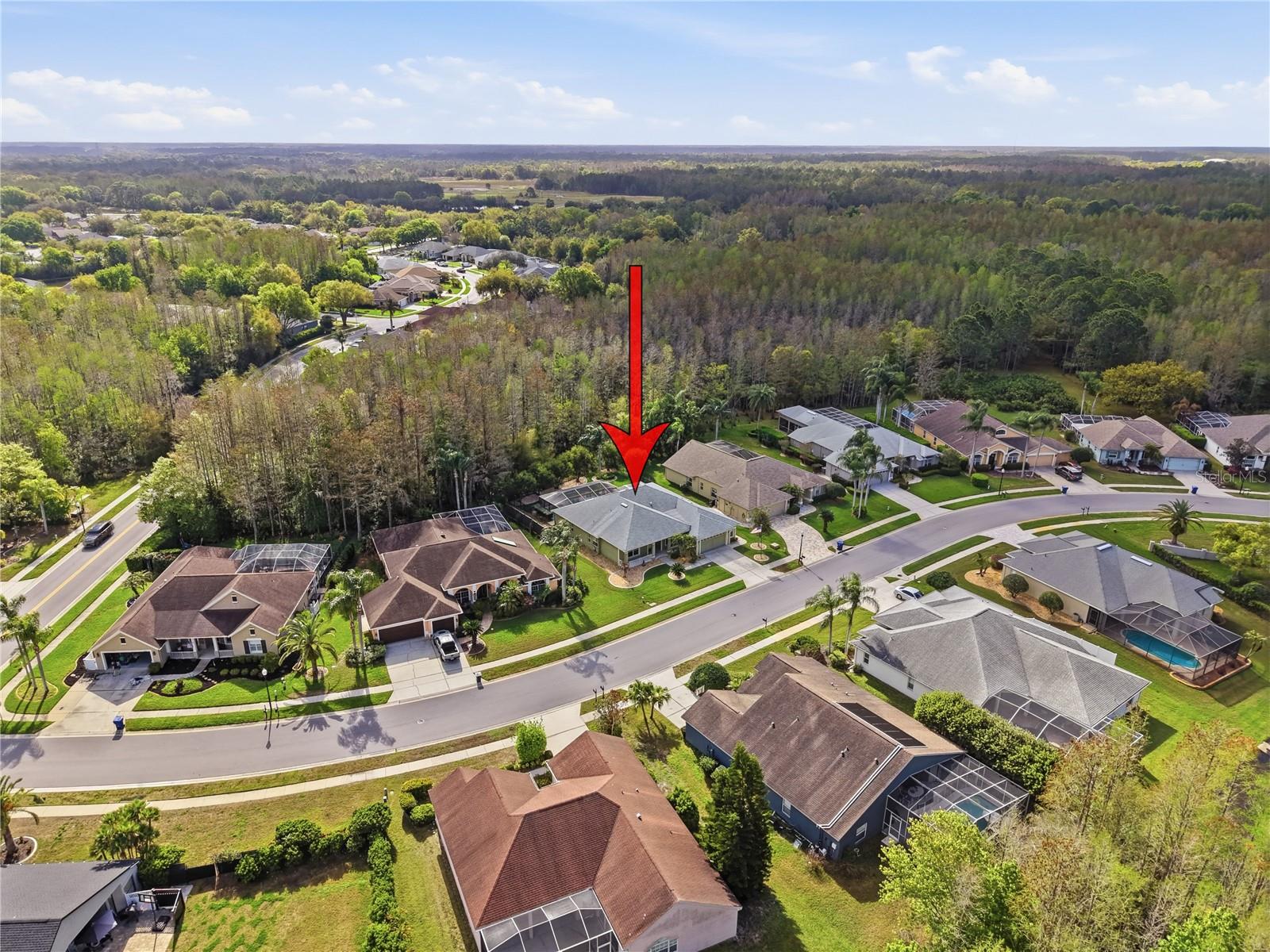 1031 MARAVISTA DR, TRINITY, FL, 34655