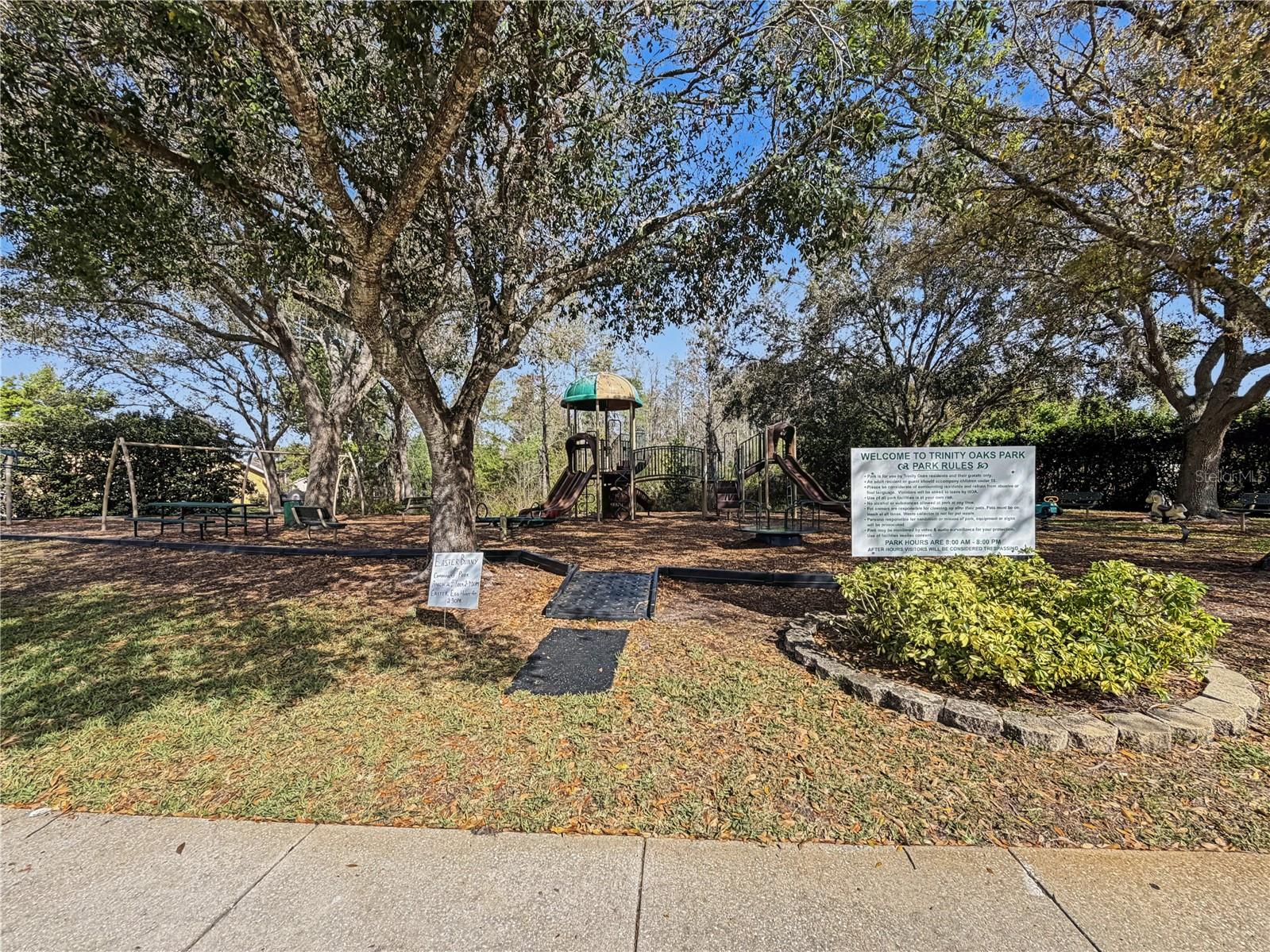 1031 MARAVISTA DR, TRINITY, FL, 34655