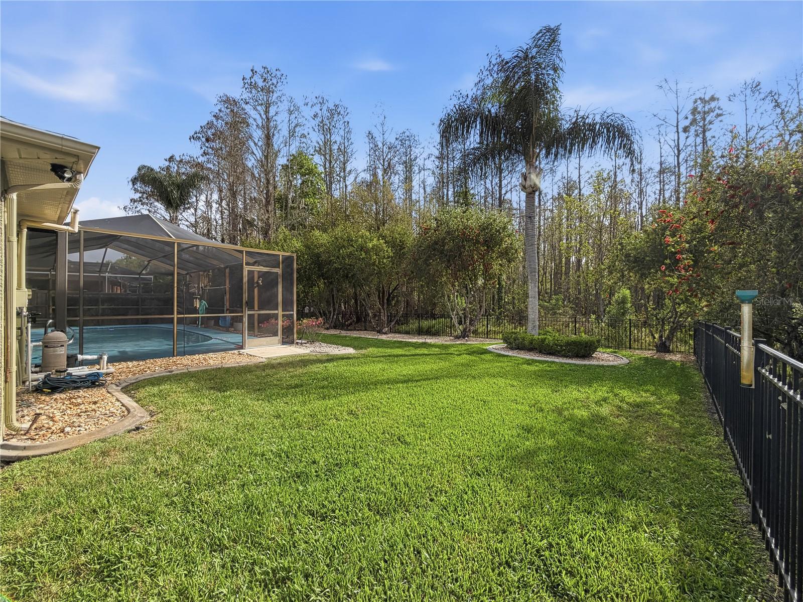 1031 MARAVISTA DR, TRINITY, FL, 34655