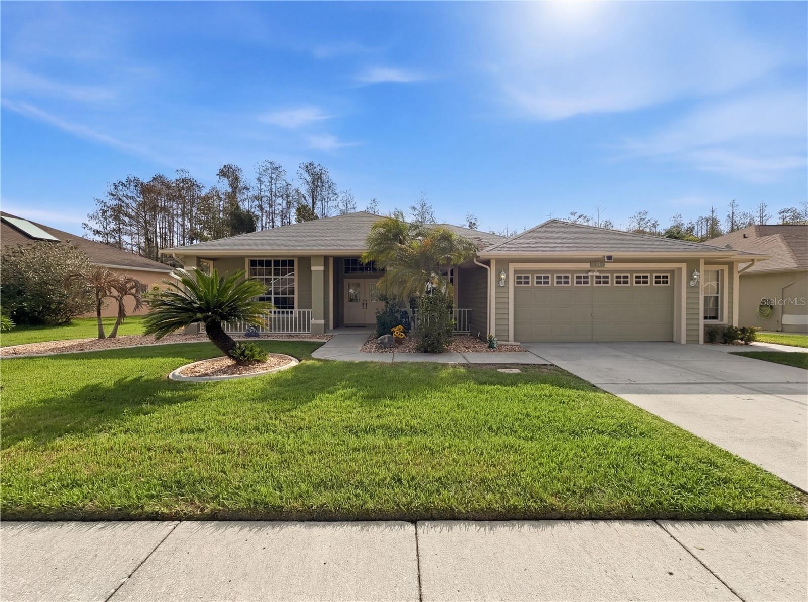 1031 MARAVISTA DR, TRINITY, FL, 34655