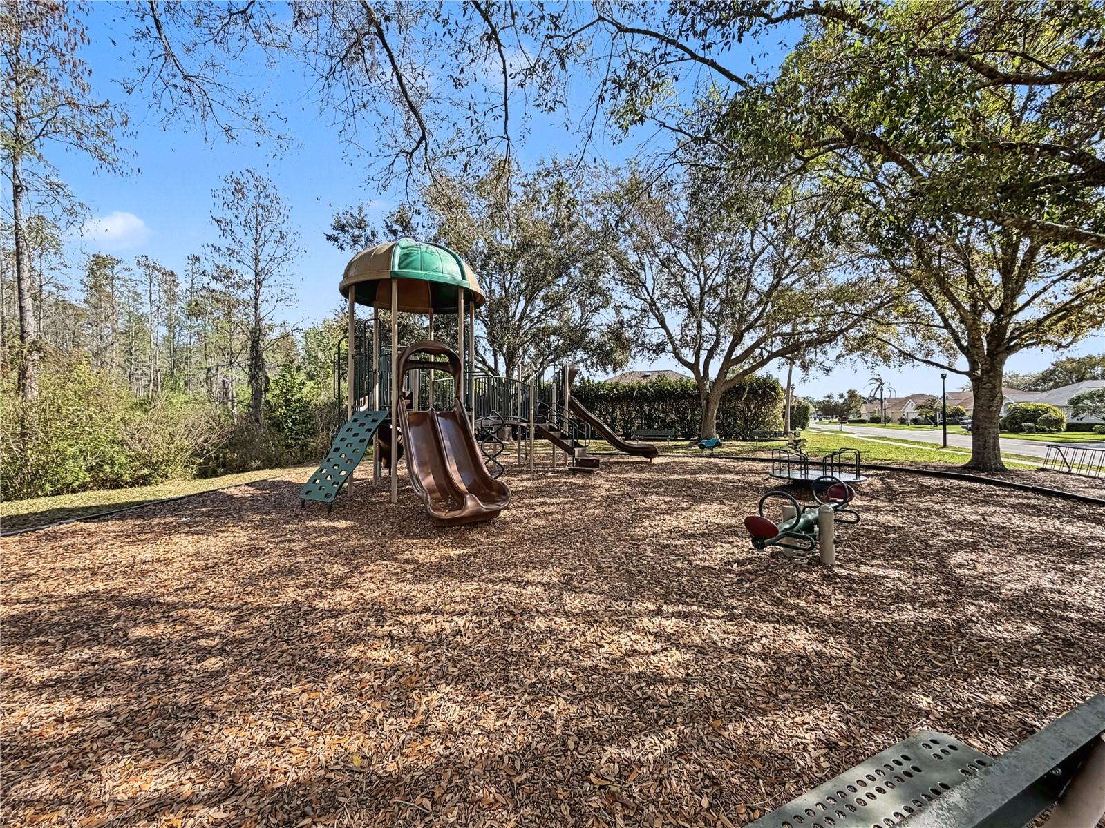 1031 MARAVISTA DR, TRINITY, FL, 34655