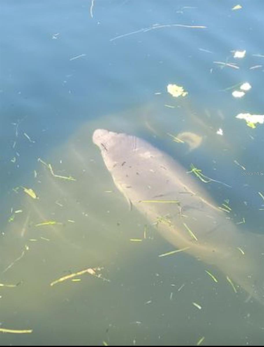 773 NE 9TH ST #A, CRYSTAL RIVER, FL, 34428