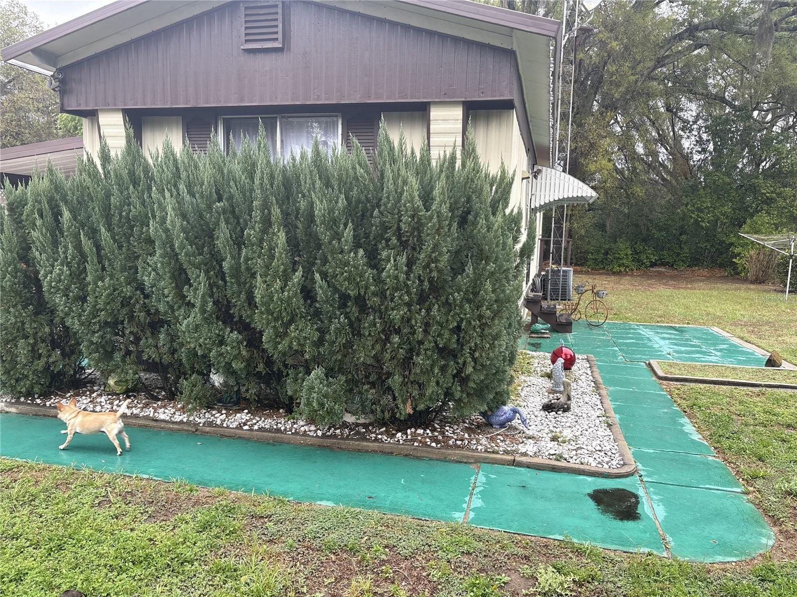 10385 SE 165TH PL, SUMMERFIELD, FL, 34491