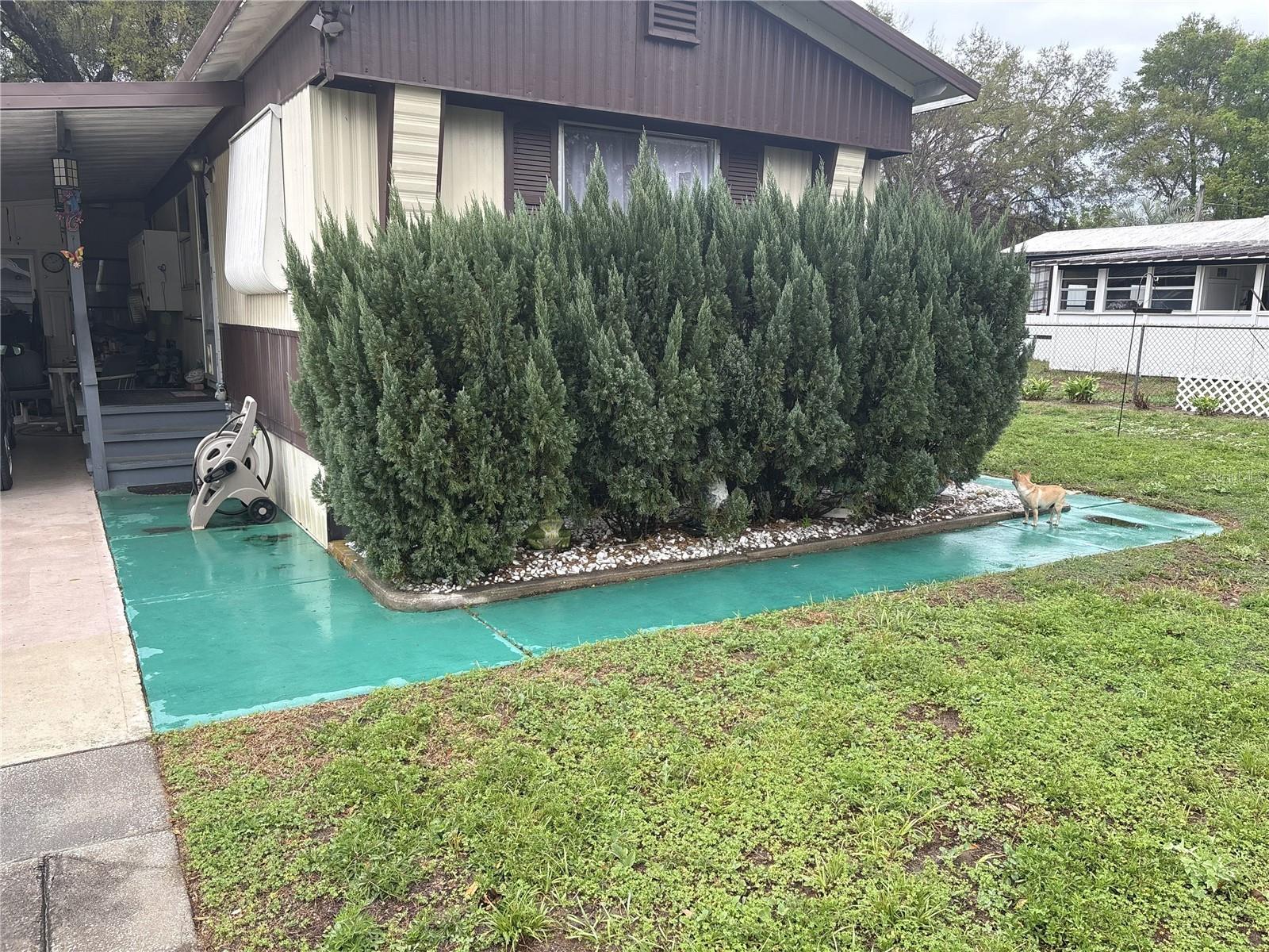 10385 SE 165TH PL, SUMMERFIELD, FL, 34491