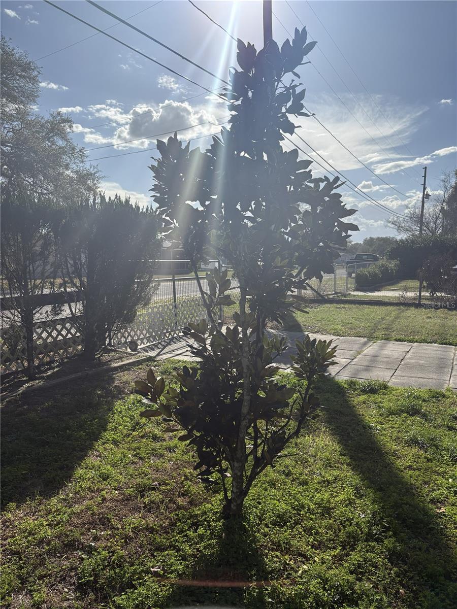 10385 SE 165TH PL, SUMMERFIELD, FL, 34491