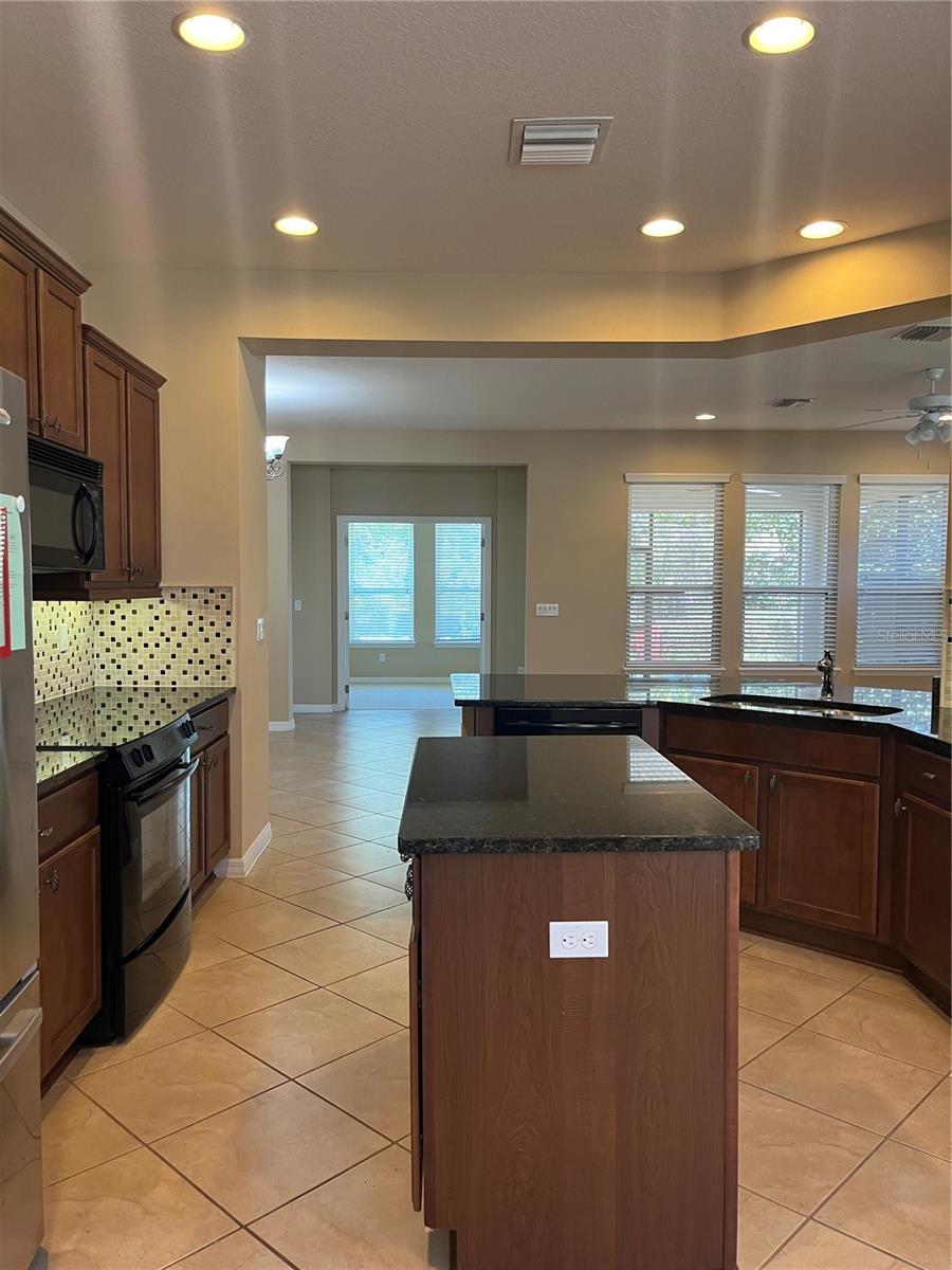 374 SALT MARSH LN, GROVELAND, FL, 34736