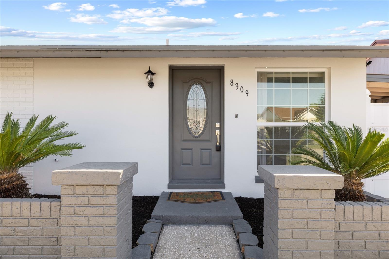 8309 DASA PL, TAMPA, FL, 33615