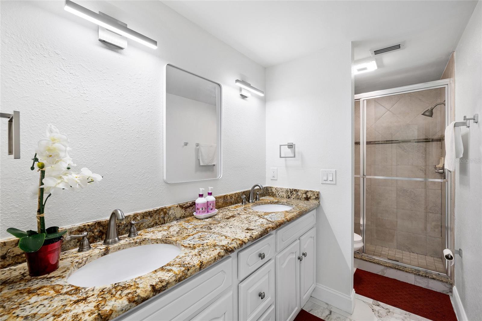 8309 DASA PL, TAMPA, FL, 33615
