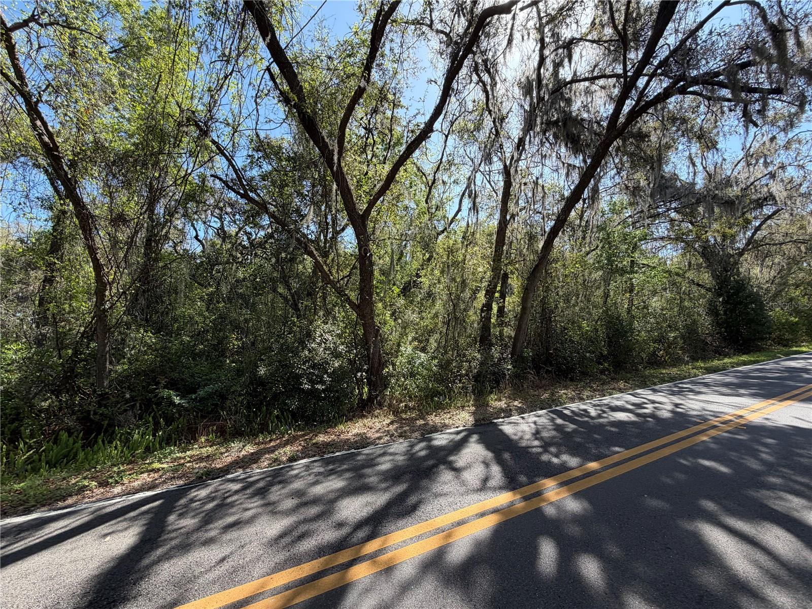 SCHARBER, DADE CITY, FL, 33525