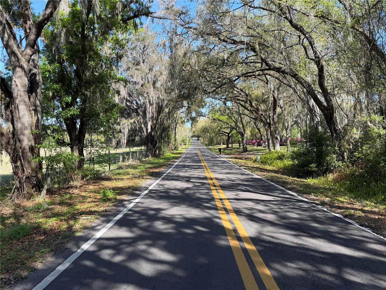 SCHARBER, DADE CITY, FL, 33525