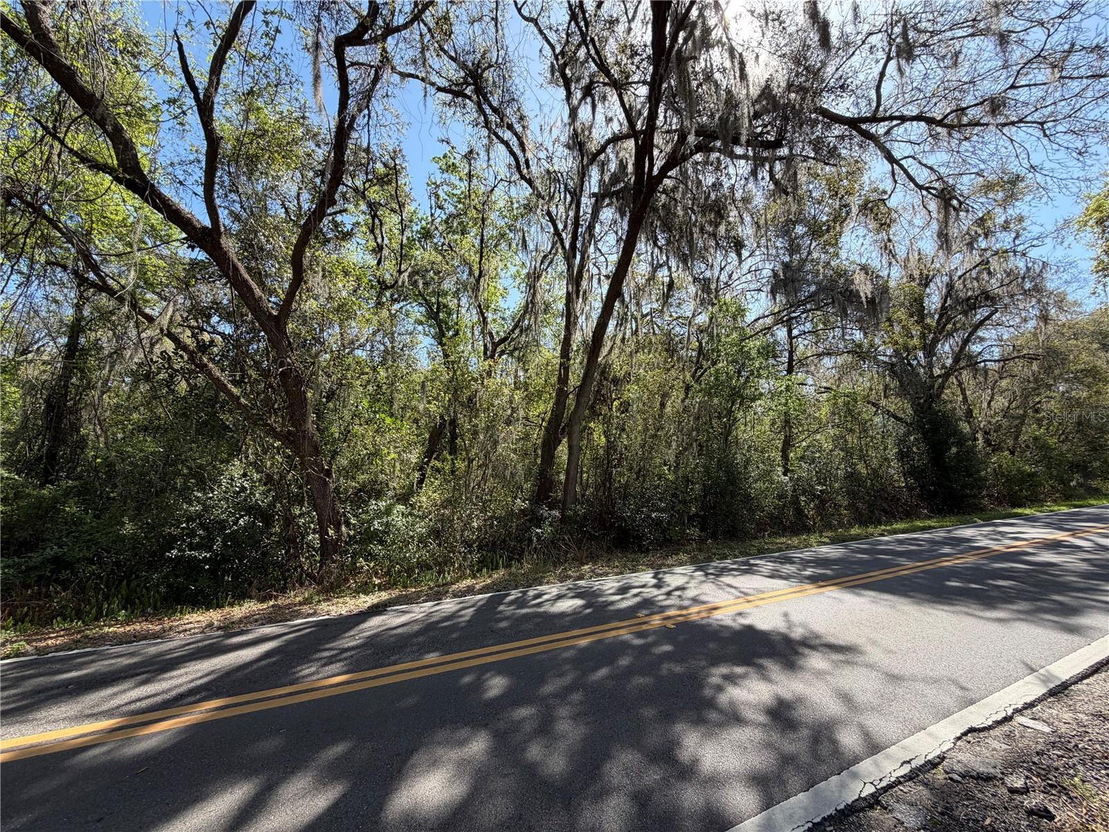 SCHARBER, DADE CITY, FL, 33525