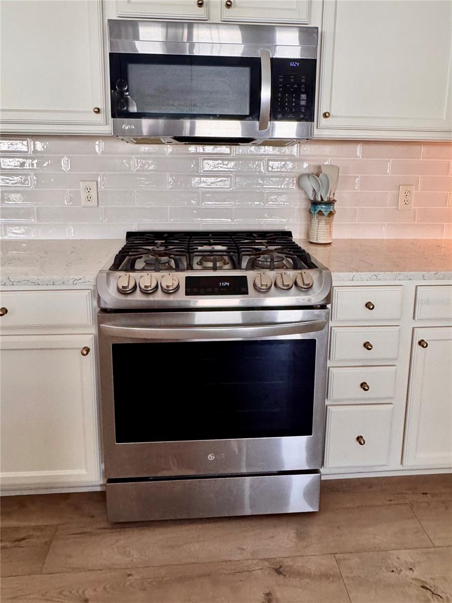 607 REEVESVILLE LN, THE VILLAGES, FL, 32162