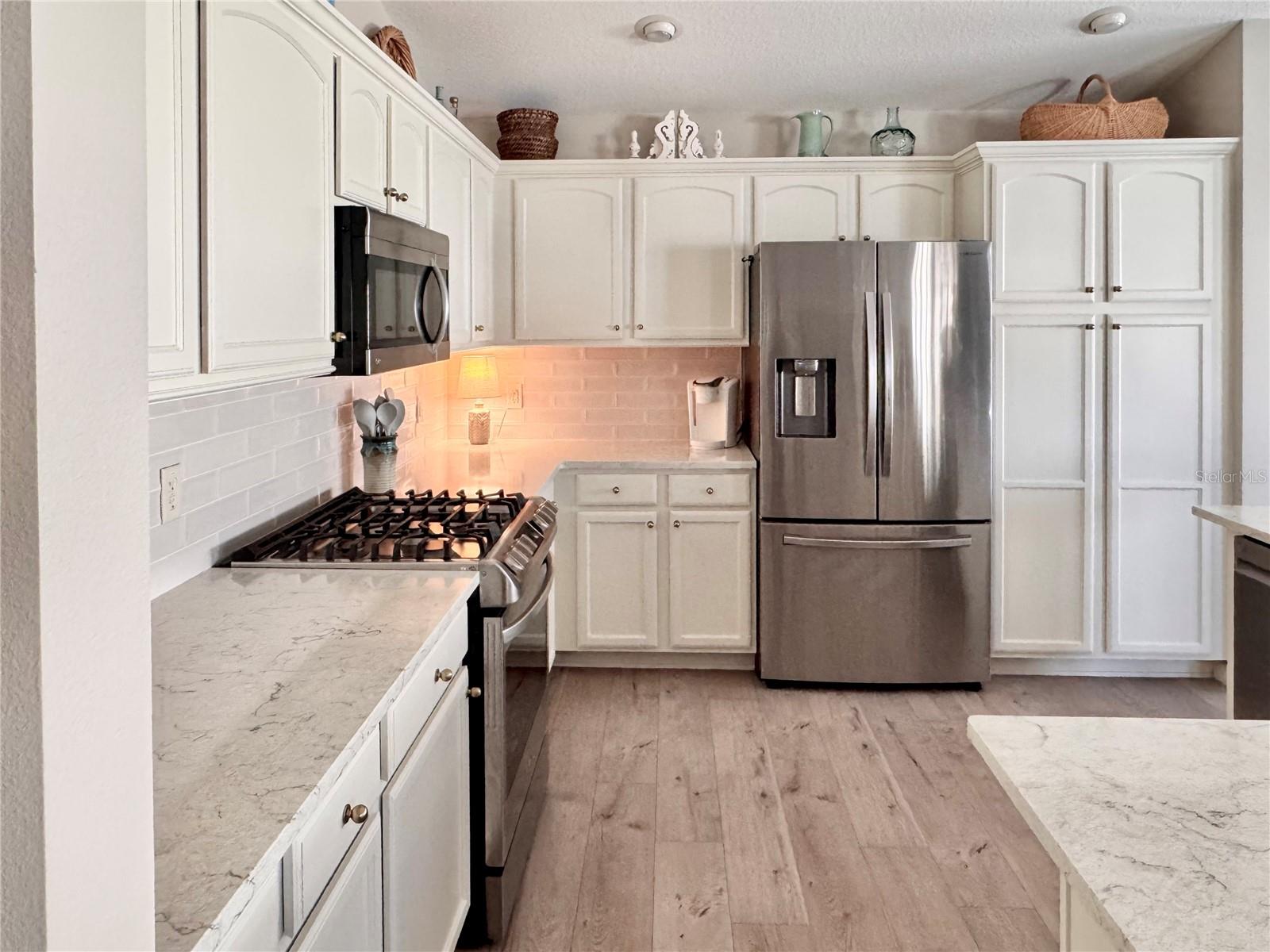 607 REEVESVILLE LN, THE VILLAGES, FL, 32162