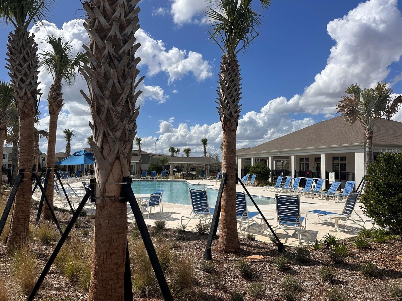 17069 WATER SPRING BLVD, WINTER GARDEN, FL, 34787