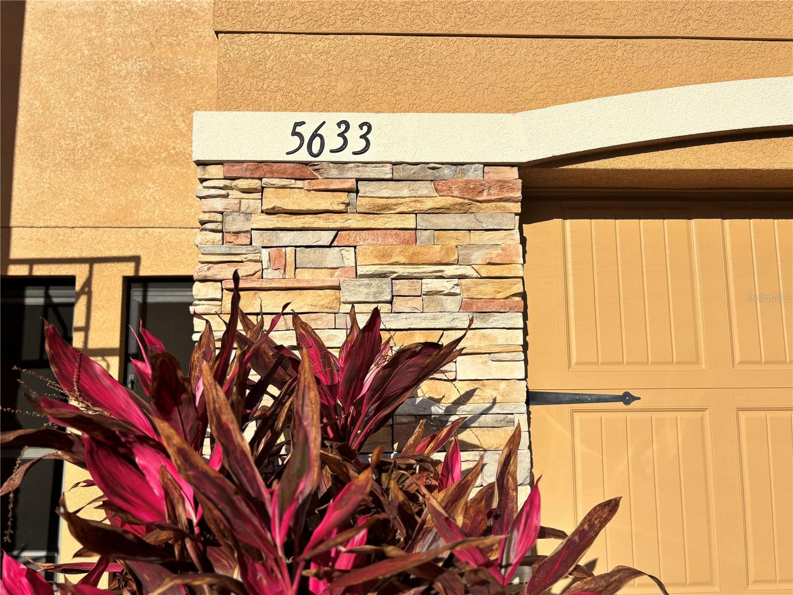 5633 BLACKFIN DR, NEW PORT RICHEY, FL, 34652