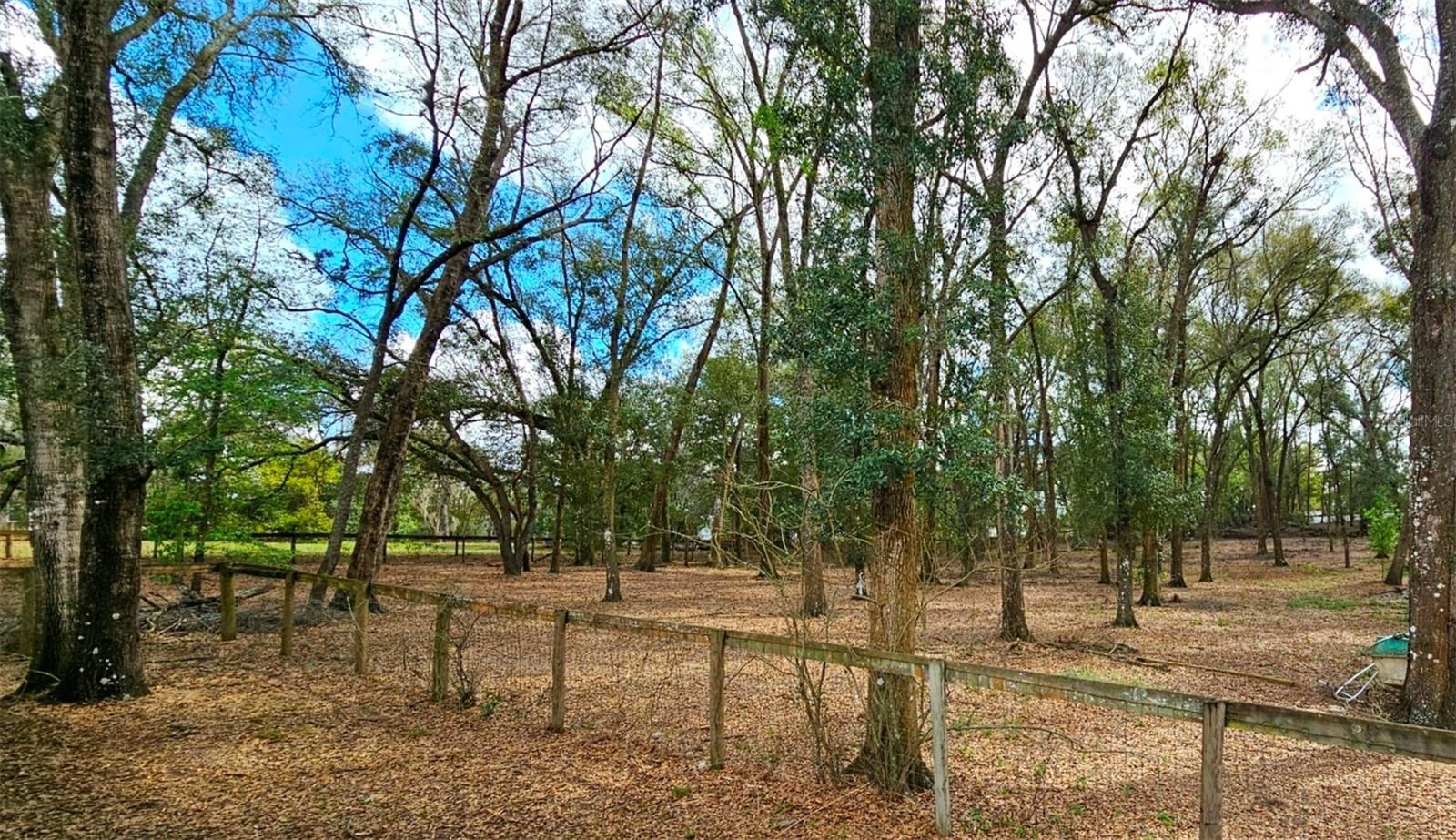 37416 HACKNEY PL, DADE CITY, FL, 33523