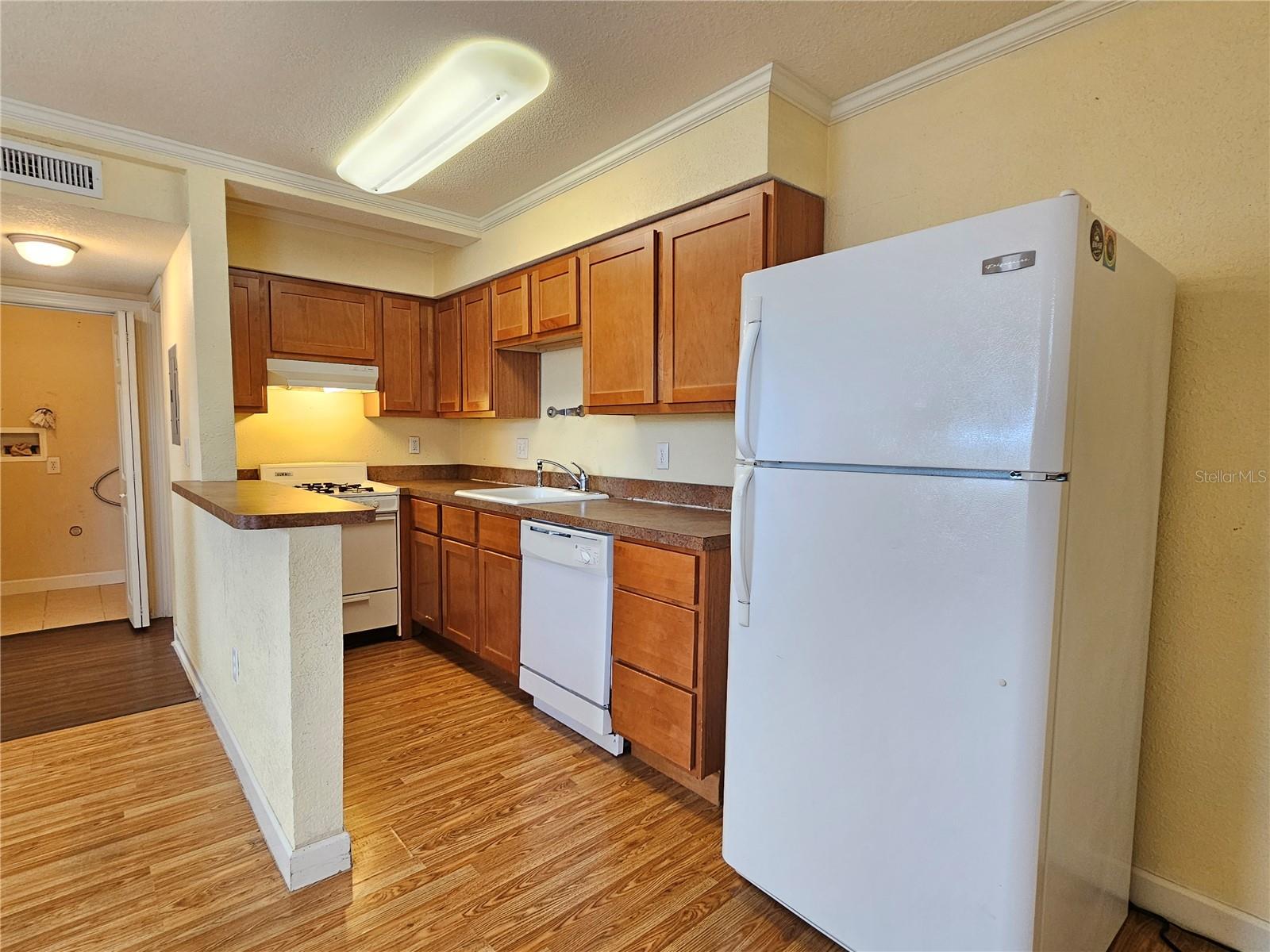 119 N EVERGREEN AVE #203, CLEARWATER, FL, 33755