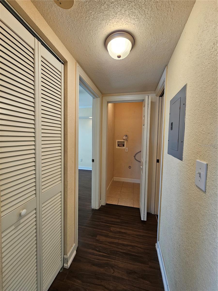 119 N EVERGREEN AVE #203, CLEARWATER, FL, 33755