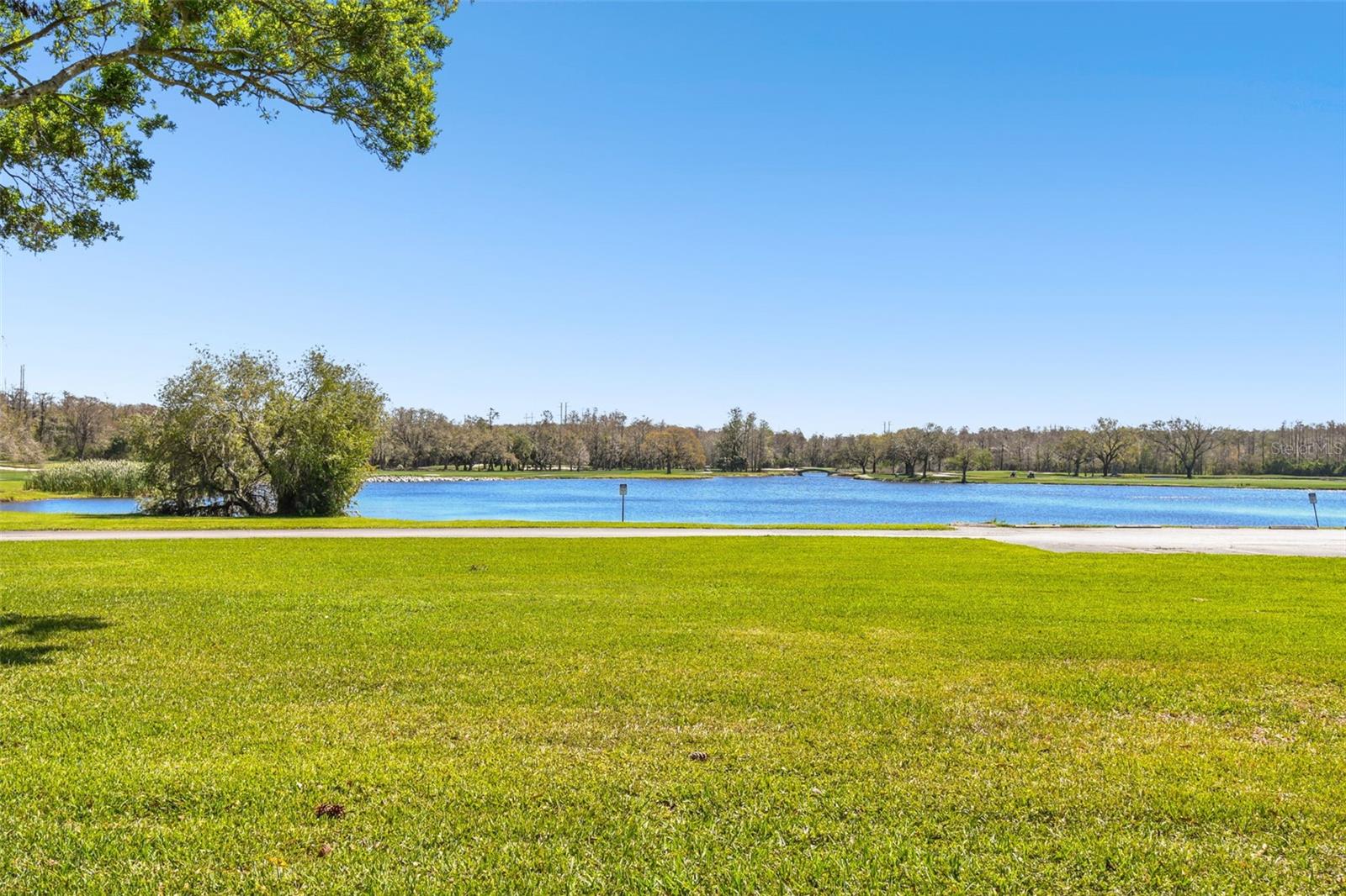 36750 US HIGHWAY 19 N #04138, PALM HARBOR, FL, 34684