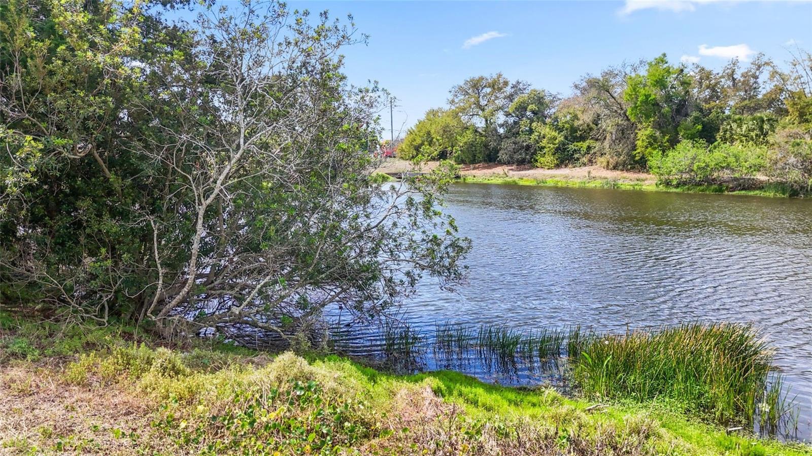 1990 CAROLINA AVE, TARPON SPRINGS, FL, 34689
