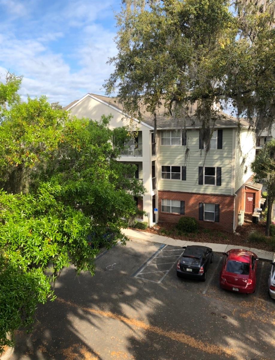 2360 SW ARCHER RD #810, GAINESVILLE, FL, 32608