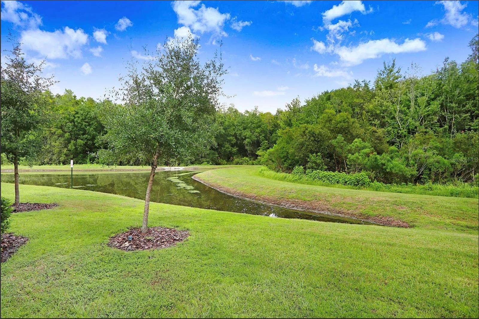 32934 KALOKO RD, WESLEY CHAPEL, FL, 33543