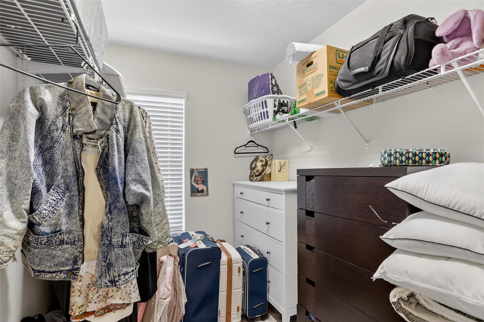 2222 GOPHER TORTOISE TER, OAKLAND, FL, 34787